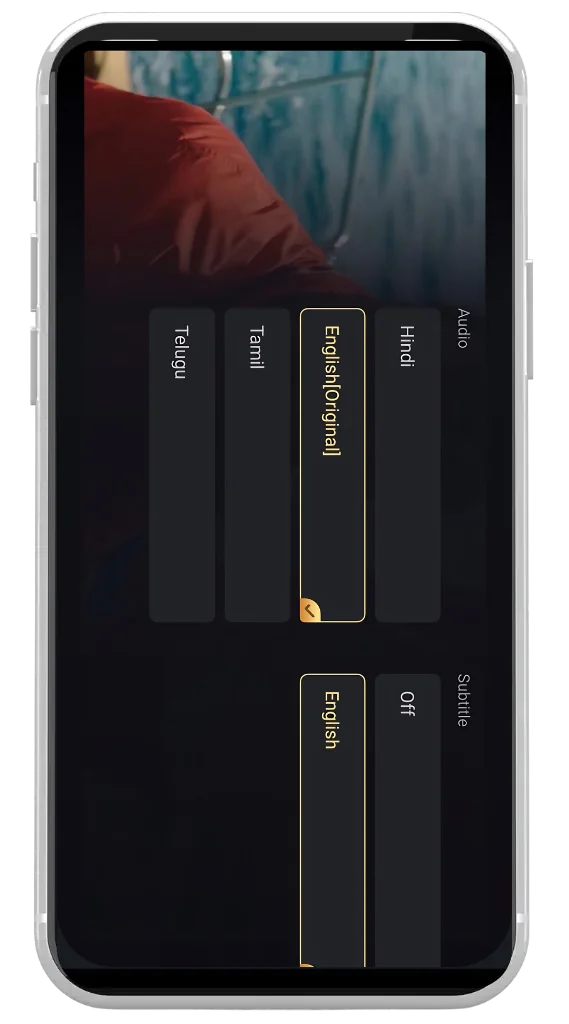 Multilanguage support